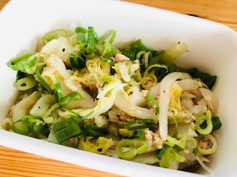 さっぱり!☆白菜とツナ缶サラダ